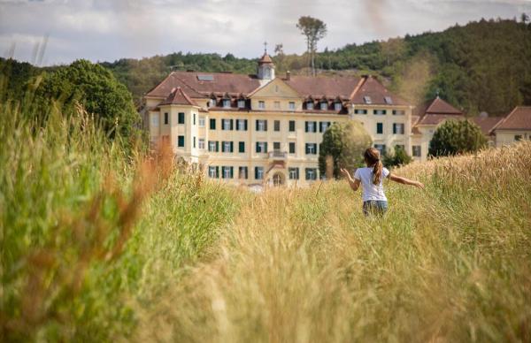 Kastélyok és villák Magyarországon: eladó különleges ingatlanok